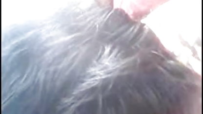 चेक पिक्चर फिल्म वीडियो सेक्सी सड़कों ६४
