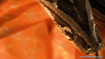 पूर्णता में करी सेक्स मूवी हिंदी इंग्लिश मिठाई _ 21 भीलों